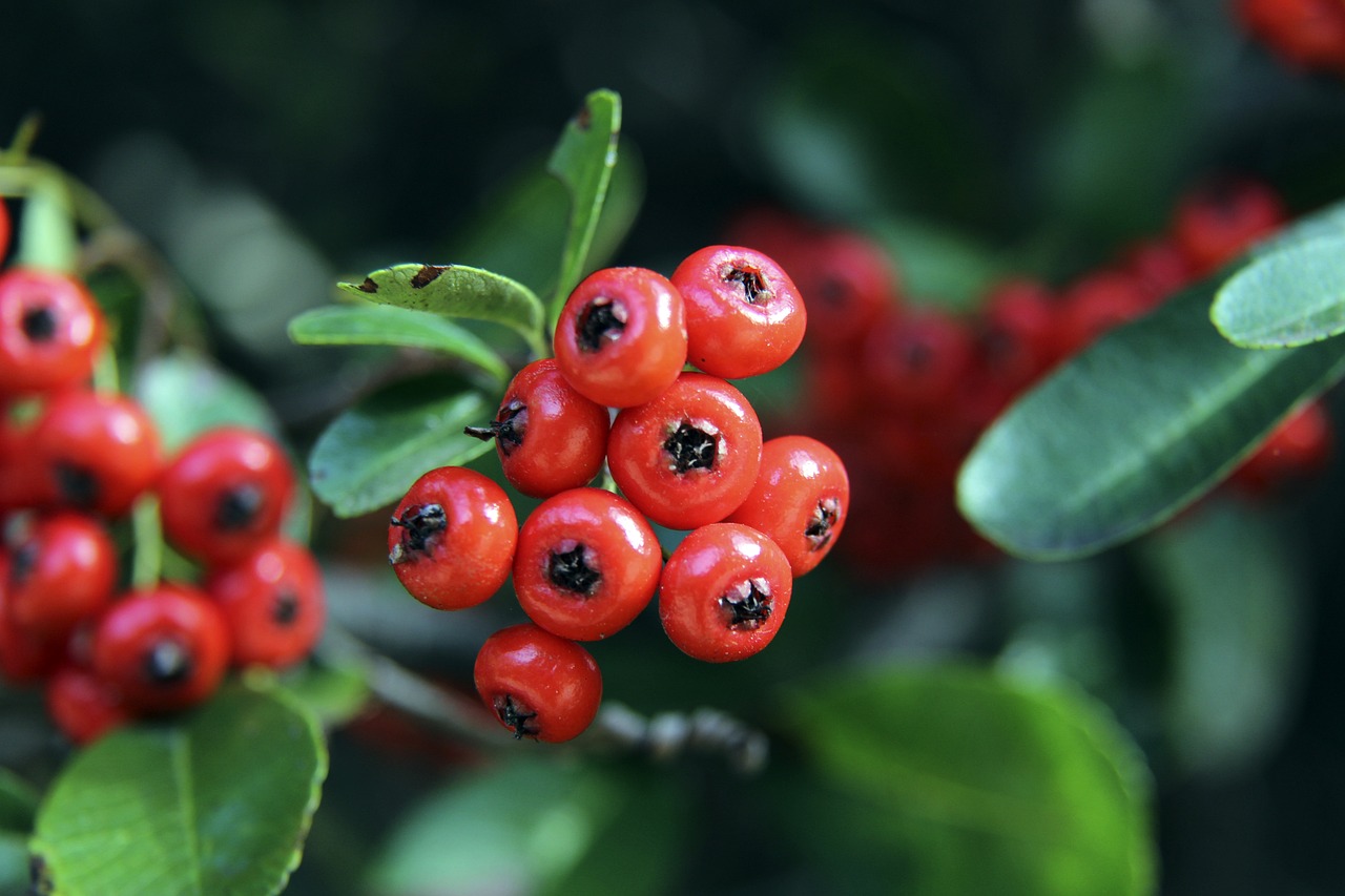 跨学科的合 跨学科的合