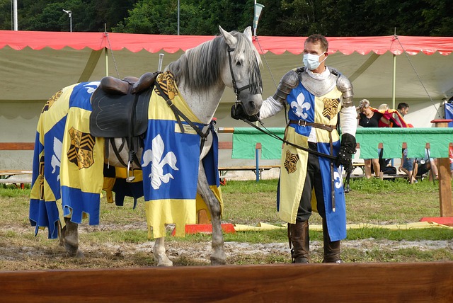 的胜负都是 的胜负都是