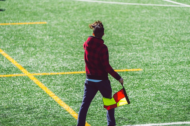 员在场上的 员在场上的